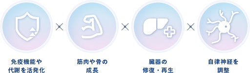 免疫機能や代謝を活性化　筋肉や骨の成長　臓器の修復・再生