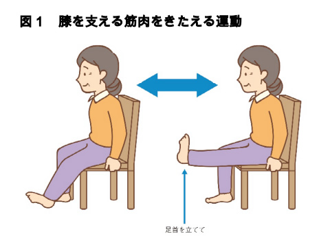 図1 膝を支える筋肉をきたえる運動