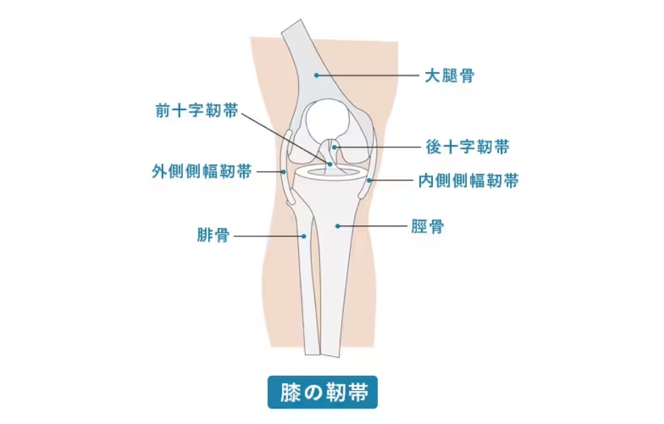 靭帯損傷