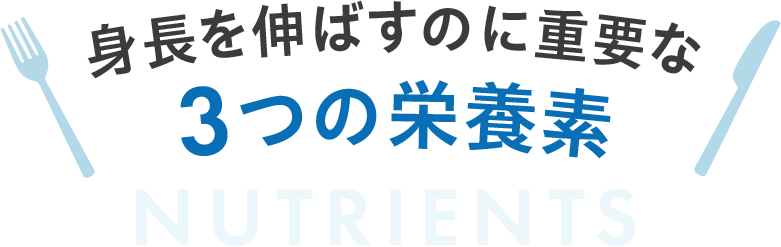 身長を伸ばすのに重要な3つの栄養素