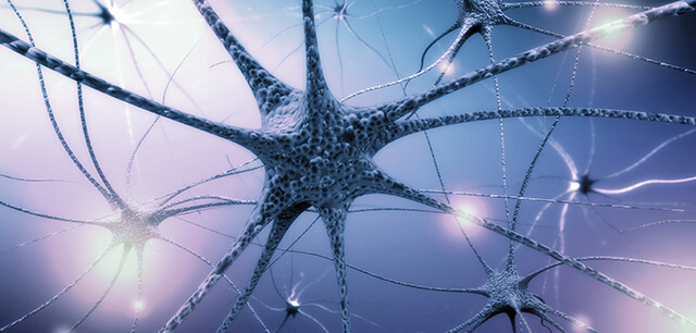 神経の痛みに対する効果