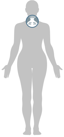 頚椎(くび)