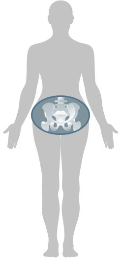腰椎