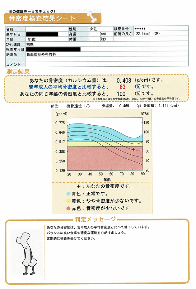 骨密度検査結果シートの例