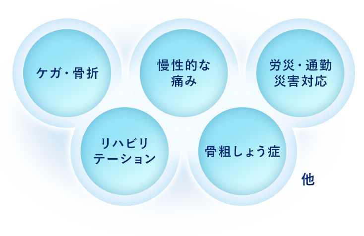 ケガ・骨折 慢性的な膝の痛み リハビリ 骨粗しょう症