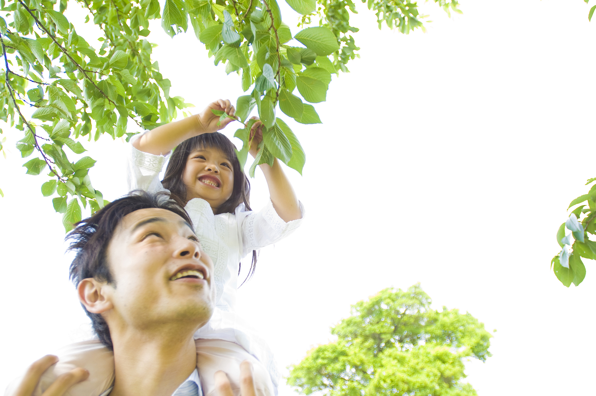 大人になると成長ホルモンの働きは健康な体の維持がメインになります