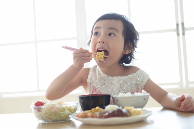 脳の働きを良くするためにもタンパク質は大切な役割を果たしています