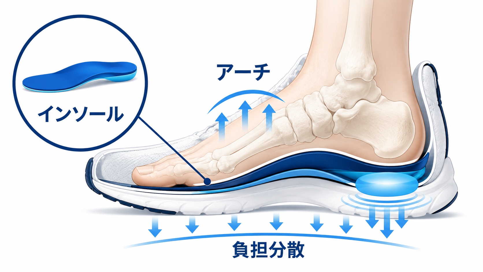 靴選びとインソール